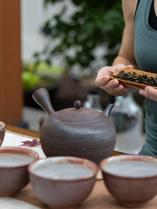 Introduction to Tea Ceremony